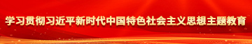 嗯啊骚逼视频学习贯彻习近平新时代中国特色社会主义思想主题教育